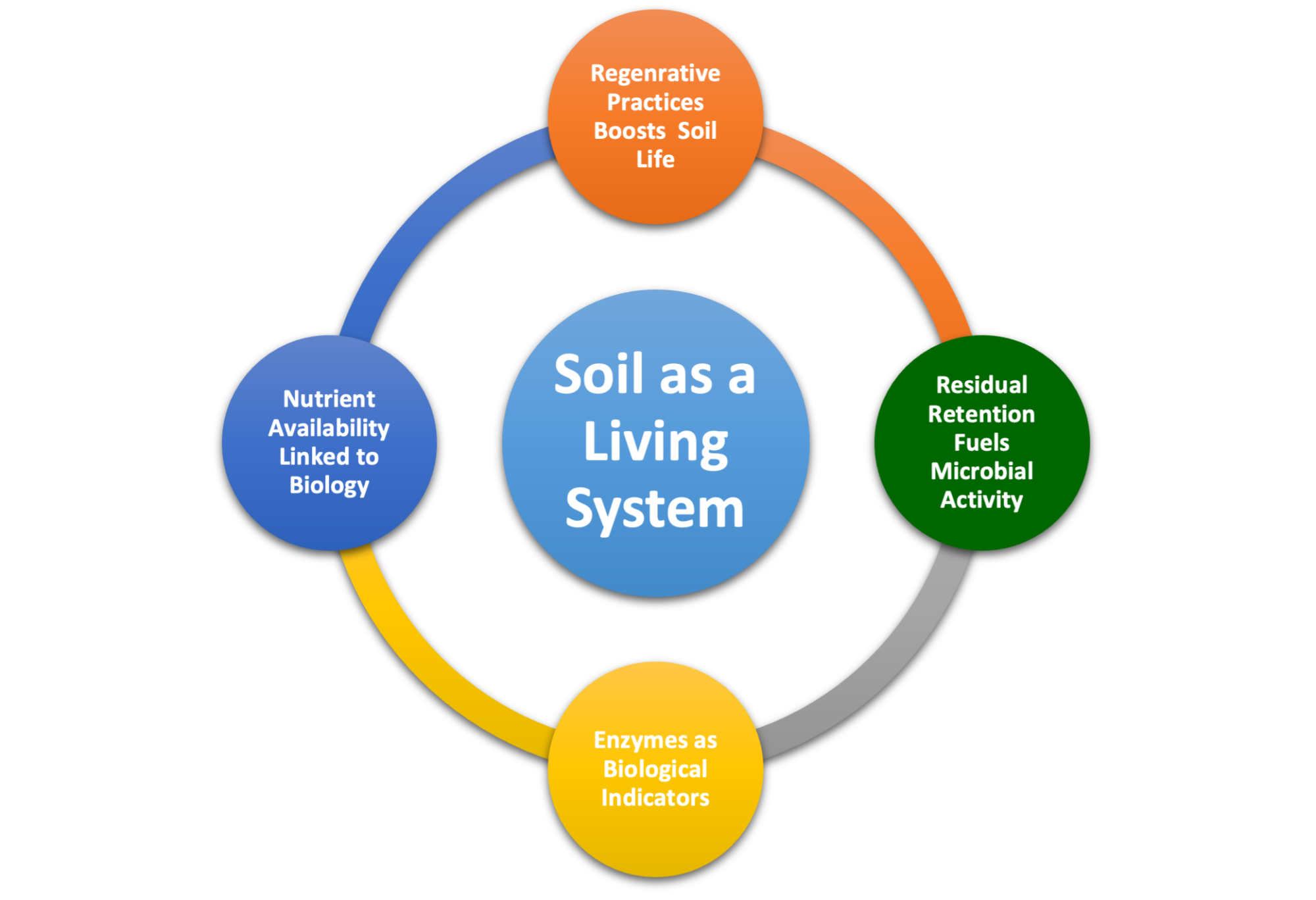 Soil Life Cycle-1.png
